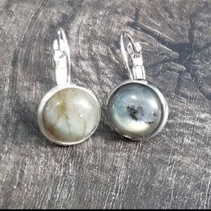 Stainless Steel Natural Gemstone Earrings